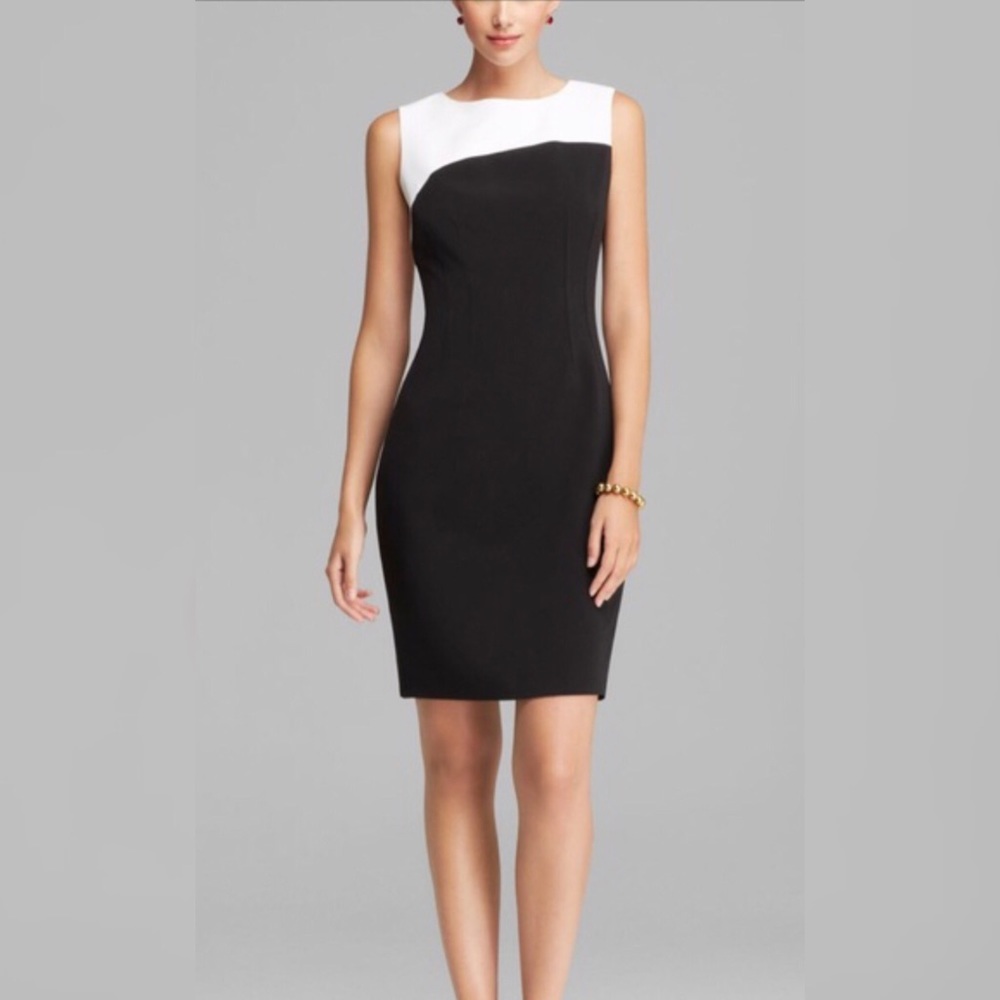 Tahari Audrina color block dress